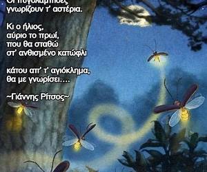 Μια πυγολαμπίδα φωτίζει τη νύχτα