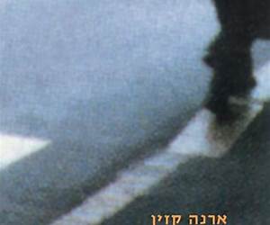 במרחק הליכה: חיבור על תרבות הצריכה במרחק הליכה: חיבור על תרבות הצריכה