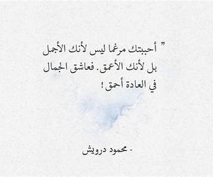 الكتابة على ضوء البندقية الكتابة على ضوء البندقية