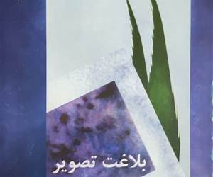 بلاغت تصویر بلاغت تصویر