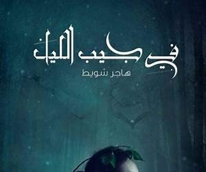 في جيب الليل في جيب الليل