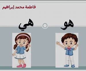 هو و هي هو و هي