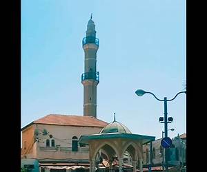 يافا أم الغريب