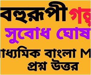 বহুরূপী বহুরূপী
