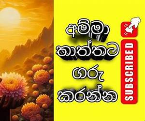 ජිවිතයට ගරු කරන්න ජිවිතයට ගරු කරන්න