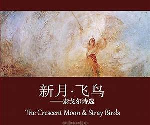 文学艺术袖珍馆Ⅰ:新月·飞鸟-泰戈尔诗选 (Chinese Edition) 文学艺术袖珍馆Ⅰ:新月·飞鸟-泰戈尔诗选 (Chinese Edition)