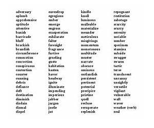 100 Words Every Middle Schooler Should Know (100 Words...) 100 Words Every Middle Schooler Should Know (100 Words...)