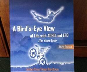 A Bird's Eye View Of Life with ADHD and EFD ...Ten Years Later A Bird's Eye View Of Life with ADHD and EFD ...Ten Years Later