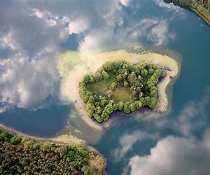 A Bird's Eye