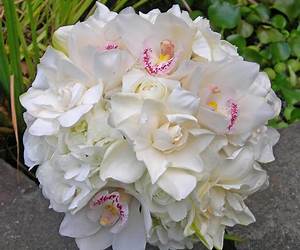A Bouquet of Gardenias A Bouquet of Gardenias