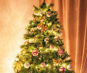 A Christmas Tree / The Child's Story: Two Stories In One (A Tale of Two Stories) A Christmas Tree / The Child's Story: Two Stories In One (A Tale of Two Stories)
