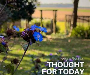 A Wellspring of Thought: A Collection of Prayers, Poems, Reflections, Songs, \u0026 Words to Live By