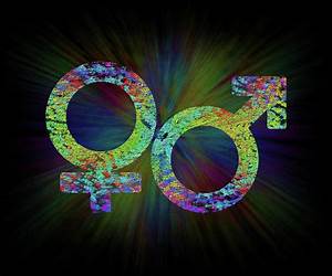 Abstract Gender (Compendium Book 1)