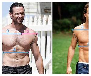 Adonis Golden Ratio Adonis Golden Ratio