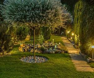 Alberi da giardino Alberi da giardino