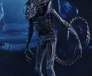Alien Warrior: The Complete Series Alien Warrior: The Complete Series