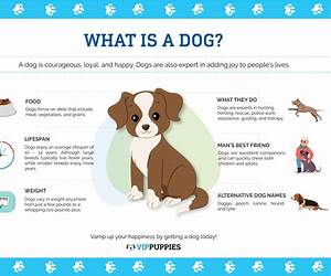 All About Dogs: An Interactive Quiz Book for Dog Lovers All About Dogs: An Interactive Quiz Book for Dog Lovers