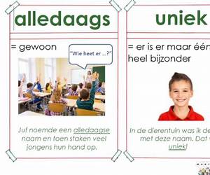 Alledaags: a Year in Amsterdam
