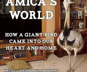 Amica's World: How a Giant Bird Came Into Our Heart and Home