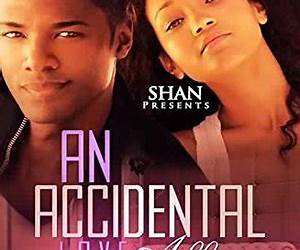 An Accidental Love Affair 2 An Accidental Love Affair 2