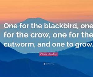 And One for the Crow: Words and Images of Ascent