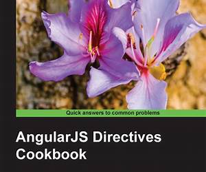 AngularJS Directives Cookbook