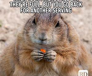 Animal Memes: The funniest animal jokes, pictures and memes ever!!! Animal Memes: The funniest animal jokes, pictures and memes ever!!!