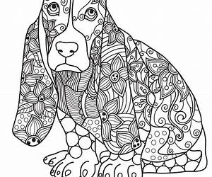 Animals Relaxing Coloring Book for Adults: Organizer and Calendar (Unique Designs Collection 1) Animals Relaxing Coloring Book for Adults: Organizer and Calendar (Unique Designs Collection 1)