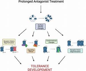 Antagonistic Tolerance: Competitive Sharing of Religious Sites and Spaces