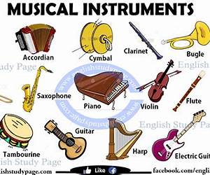 Any Instrument Any Instrument