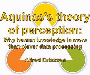 Aquinas's Theory of Perception: An Analytic Reconstruction