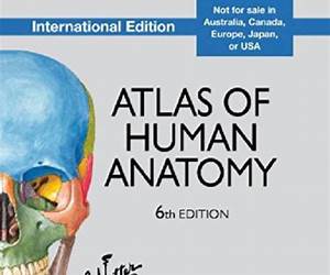 Atlas Of Human Anatomy: Kids Guide Book: Body Parts for Kids (Children's Anatomy \u0026 Physiology Books) Atlas Of Human Anatomy: Kids Guide Book: Body Parts for Kids (Children's Anatomy \u0026 Physiology Books)