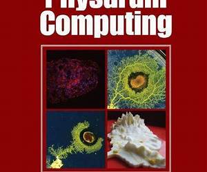 Atlas Of Physarum Computing Atlas Of Physarum Computing
