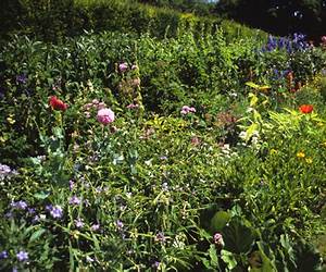 Austere Gardens: Thoughts on Landscape, Restraint, \u0026 Attending Austere Gardens: Thoughts on Landscape, Restraint, \u0026 Attending