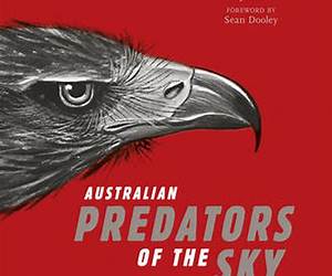 Australian Predators of the Sky