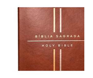 Bíblia SagradaHoly Bible (NVI/NIV) Bíblia SagradaHoly Bible (NVI/NIV)