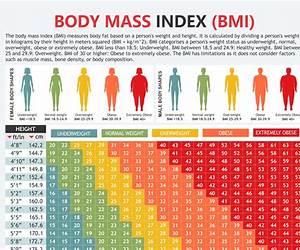 BMIBody Mass Index: Principles and Applications BMIBody Mass Index: Principles and Applications