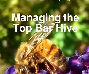 Balanced Beekeeping II: Managing the Top Bar Hive Balanced Beekeeping II: Managing the Top Bar Hive