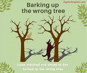 Barking Up the Wrong Tree: An Essay on Animal Welfare and Protection Barking Up the Wrong Tree: An Essay on Animal Welfare and Protection