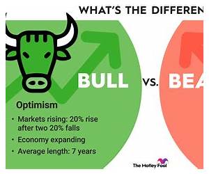 Bear Market Rising: Profit from the Bursting of the Cheap Money Bubble