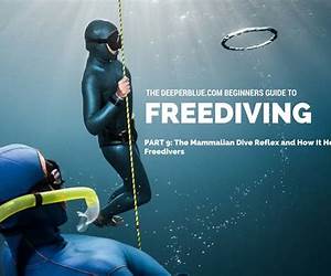 Beginners Guide For Freediving: Gear, Training, Essential Tips Beginners Guide For Freediving: Gear, Training, Essential Tips