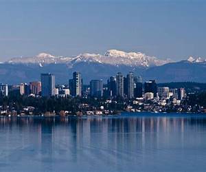 Bellevue: Three Centuries of Medicine and Mayhem at America's Most Storied Hospital