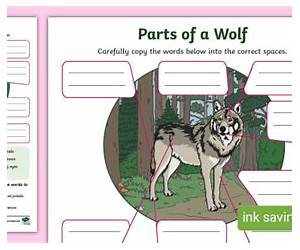Between a Wolf and a Hard Place - Parts 1-6 (NorCal Shifters, #1)