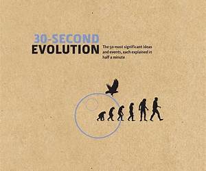 Beyond Therapy30 Second Evolution Beyond Therapy30 Second Evolution