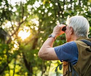 Bird Watching for Beginners Bird Watching for Beginners