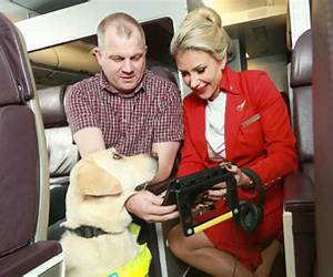 Blind Passenger