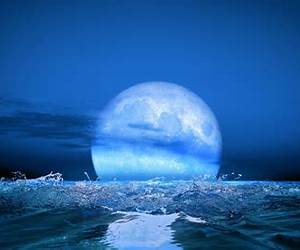 Blue Moon Rising (Coyote's Call, #3)