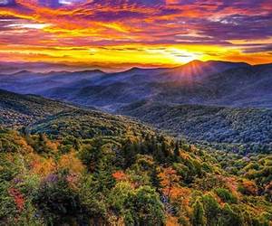 Blue Ridge VeterinarianVettin' in Appalachia Blue Ridge VeterinarianVettin' in Appalachia