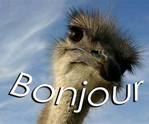Bonjour!