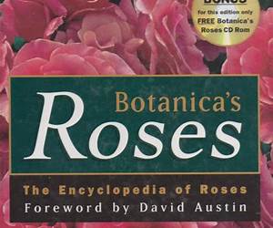 Botanicas Roses the Encyclopedia of Roses